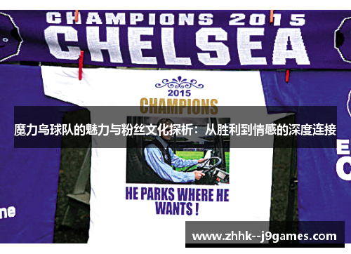 魔力鸟球队的魅力与粉丝文化探析：从胜利到情感的深度连接